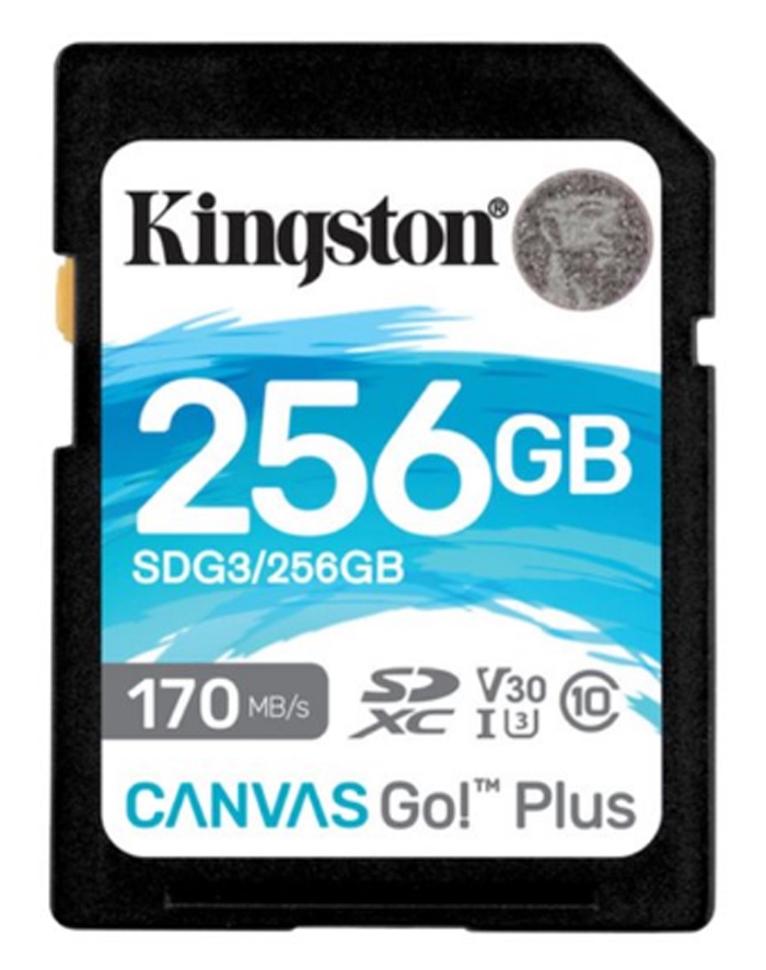 KINGSTON 256GB SDXC 170MB/s